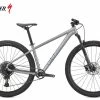 Specialized Rockhopper Expert 29 Satin Silver Dust / Black Holographic