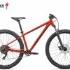 Specialized Rockhopper Comp Gloss Redwood / Smoke
